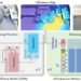 A new framework to generate human motions from language prompts
