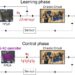 Controlling chaos using edge computing hardware: Digital twin models promise advances in computing