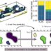 Understanding turbulence through artificial intelligence