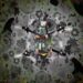 Animal-brain-inspired AI game changer for autonomous robots