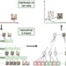 New technique can automate data curation for self-supervised pre-training of AI datasets