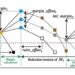 Researchers develop novel method for compactly implementing image-recognizing AI