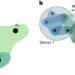 Advanced AI-based techniques scale-up solving complex combinatorial optimization problems