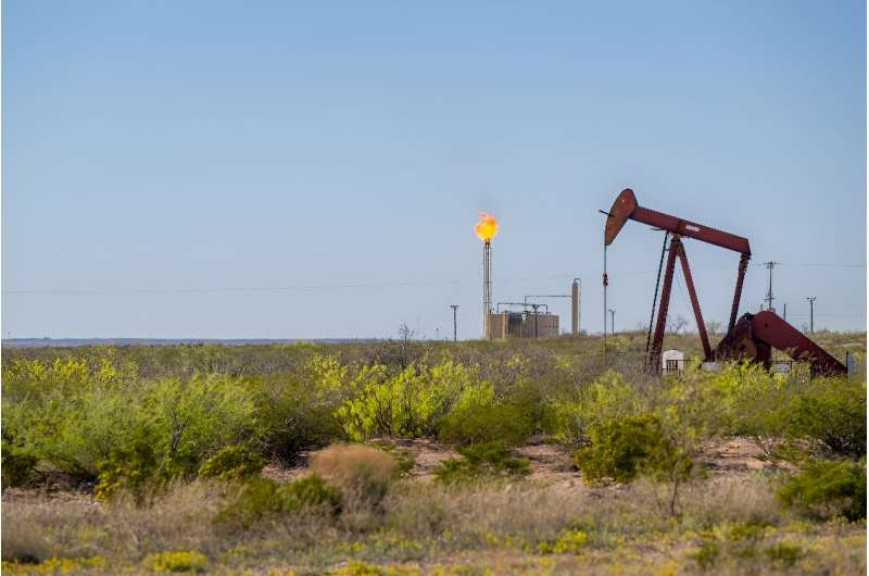 Oil and gas industry hops on generative AI bandwagon