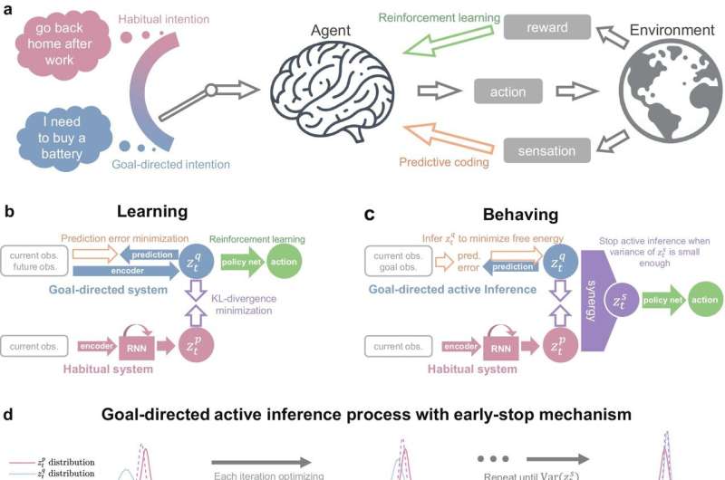 Simplicity versus adaptability: Scientists propose AI method that integrates habitual and goal-directed behaviors