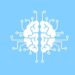 Study finds limited explanations in AI might benefit consumers
