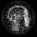 Survey shows most people think LLMs such as ChatGPT can experience feelings and memories