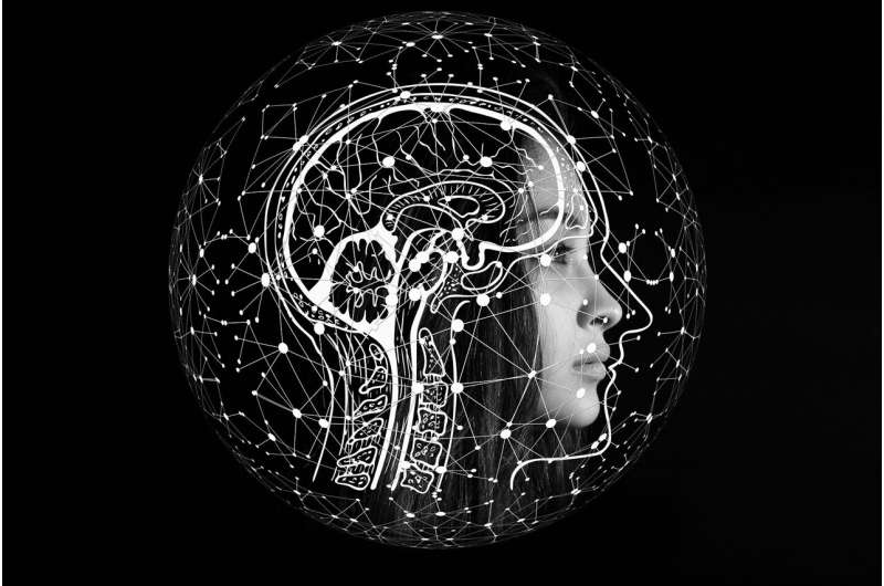 Survey shows most people think LLMs such as ChatGPT can experience feelings and memories