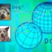 New technique to assess a general-purpose AI model