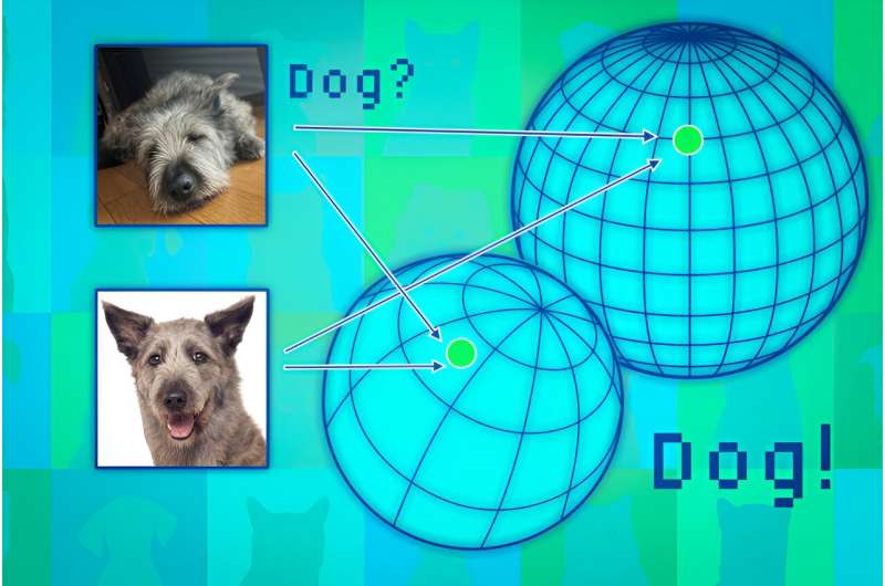 New technique to assess a general-purpose AI model