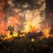 Scientists use AI to predict a wildfire