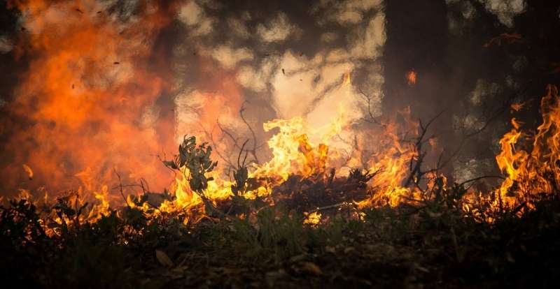 Scientists use AI to predict a wildfire
