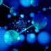 Scientists use machine learning to explore effects of cushion gases on underground hydrogen storage