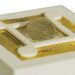 Research team designs biomimetic vision system based on praying mantis eyes