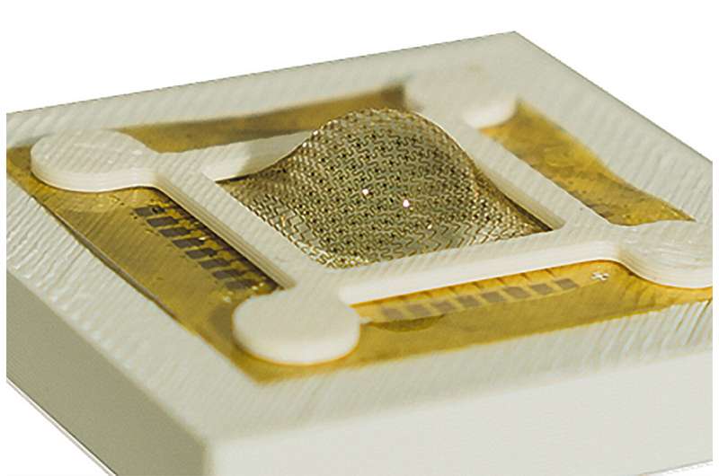 Research team designs biomimetic vision system based on praying mantis eyes