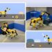 A new algorithm to help robots practice skills independently to adapt to unfamiliar environments