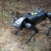 Researchers train a robot dog to combat invasive fire ants