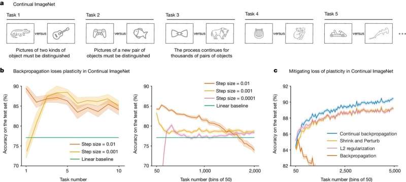 New method allows AI to learn indefinitely