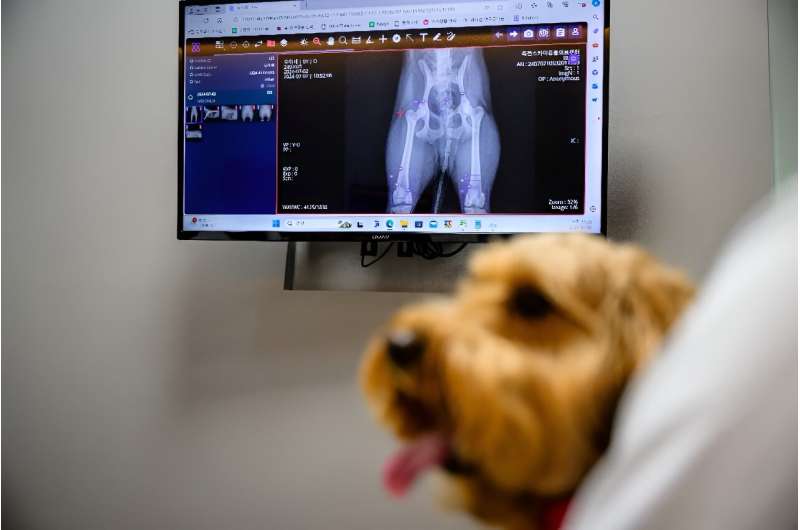 South Korean pet care goes high-tech with AI diagnostics