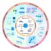 Advances in fiber-based wearable sensors with machine learning