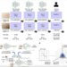 How hardware contributes to the fairness of artificial neural networks