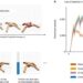 Research team proposes solution to AI