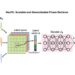 New neural framework enhances reconstruction of high-resolution images