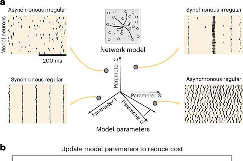 Novel framework allows for automated tuning of large-scale neuronal models