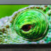 The Amazon Fire TV Omni QLED offers a great picture, and it&apos;s $150 off