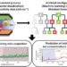 Artificial intelligence model helps produce clean water