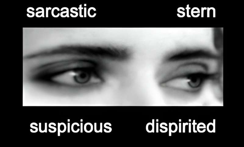 How do we know if ChatGPT can recognize a face?