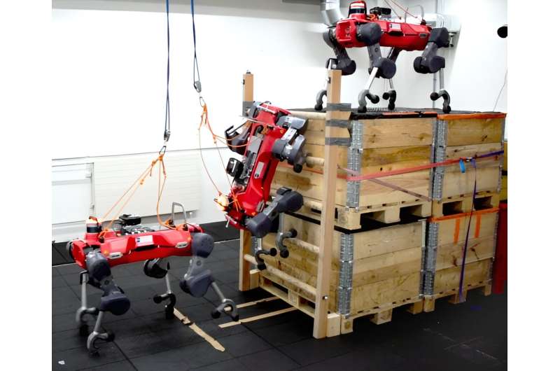 Engineers teach a quadruped robot to climb standard ladders